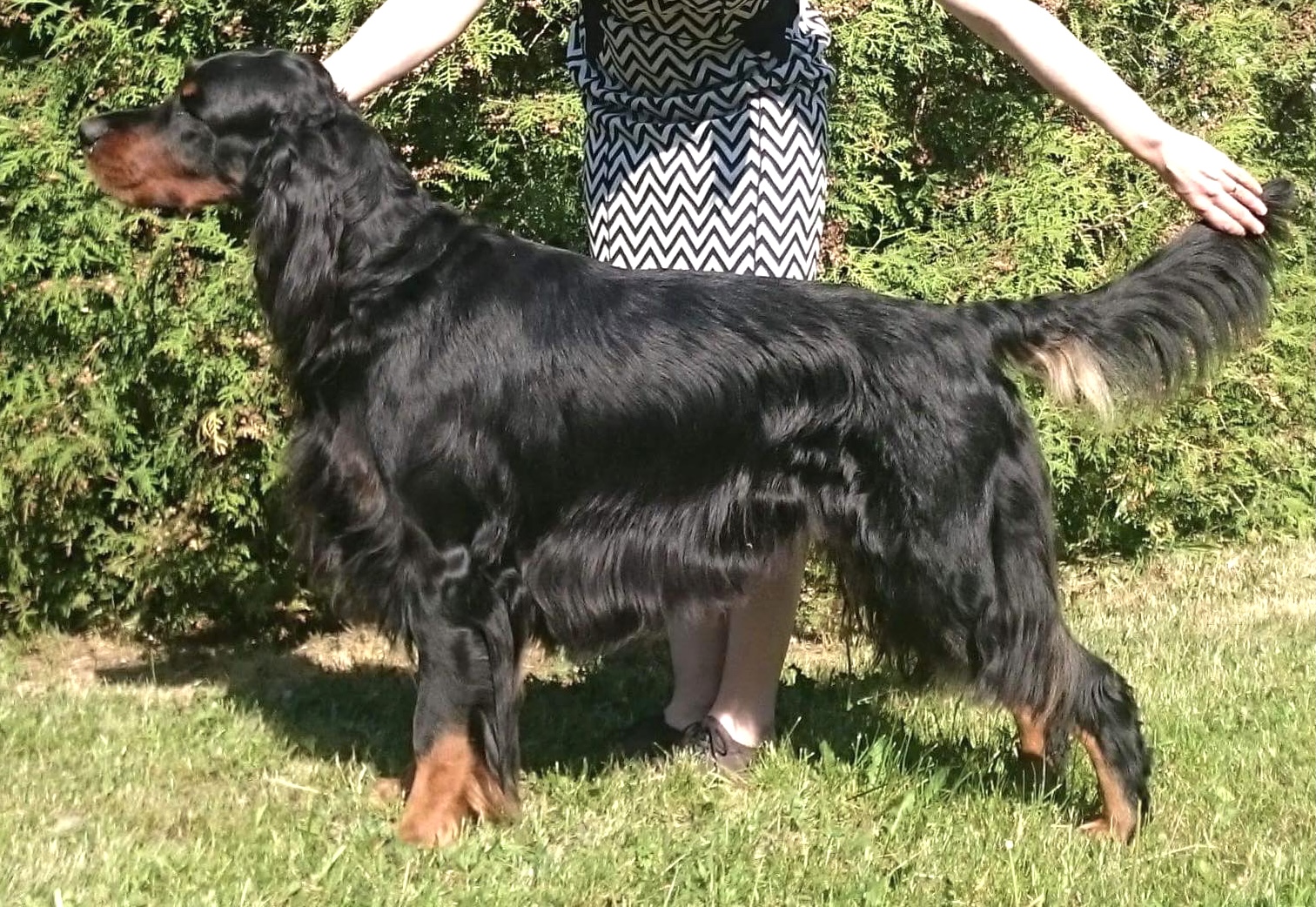 ”Nero” Xenaran Imaginary Hero 